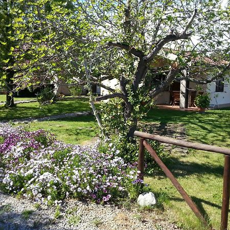 カパルビオ Agriturismo Sicomoroヴィラ エクステリア 写真