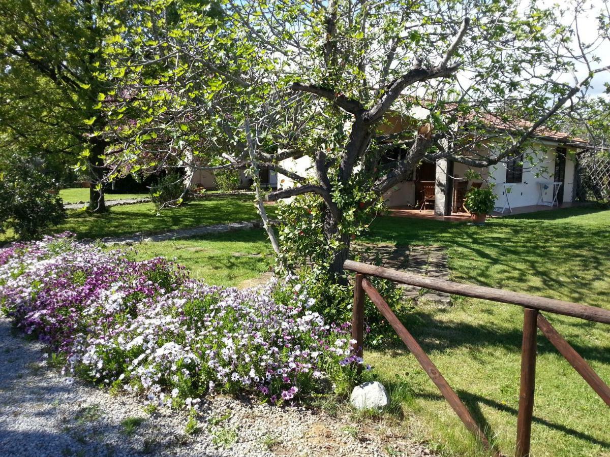 カパルビオ Agriturismo Sicomoroヴィラ エクステリア 写真