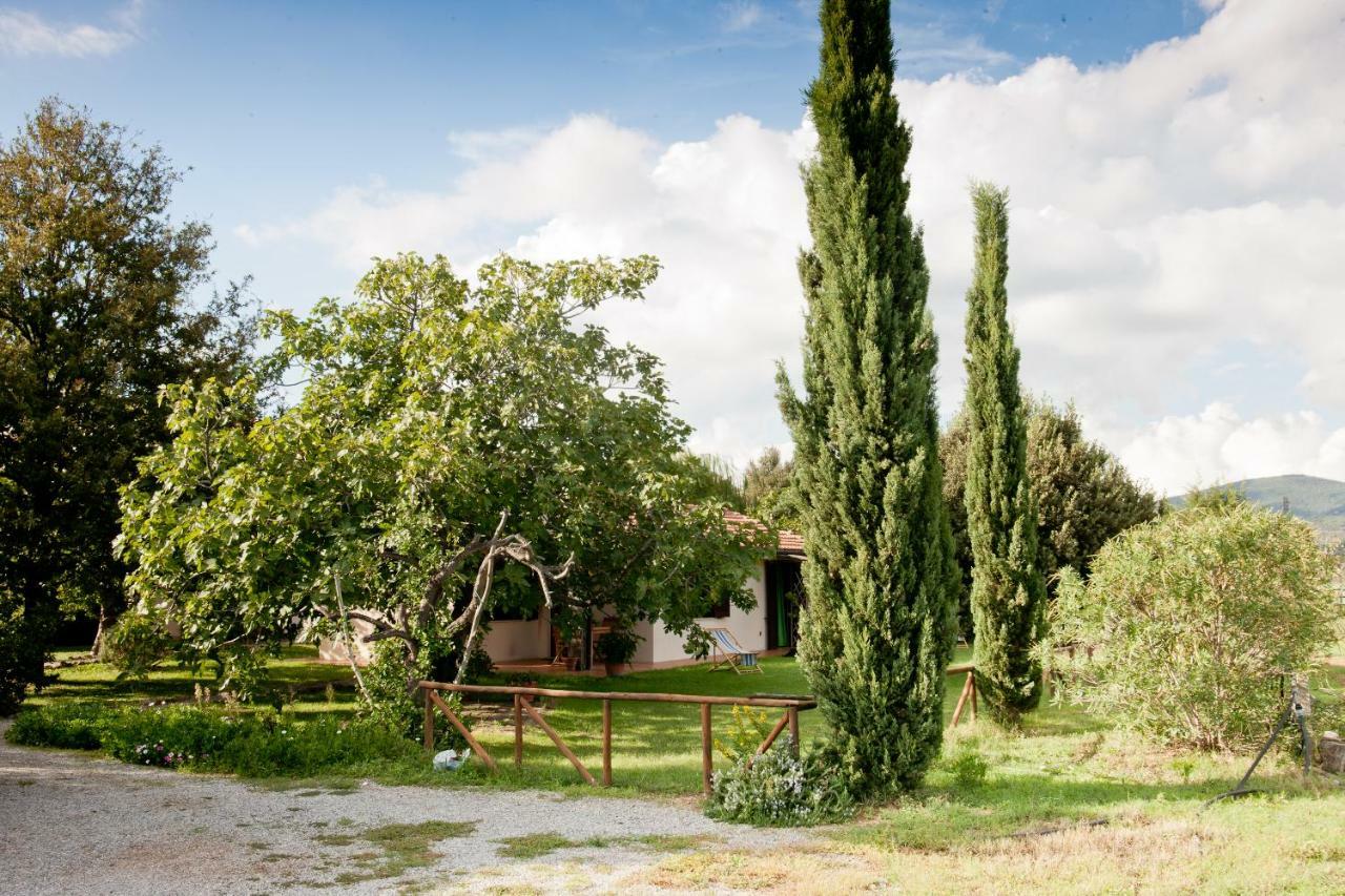 カパルビオ Agriturismo Sicomoroヴィラ エクステリア 写真